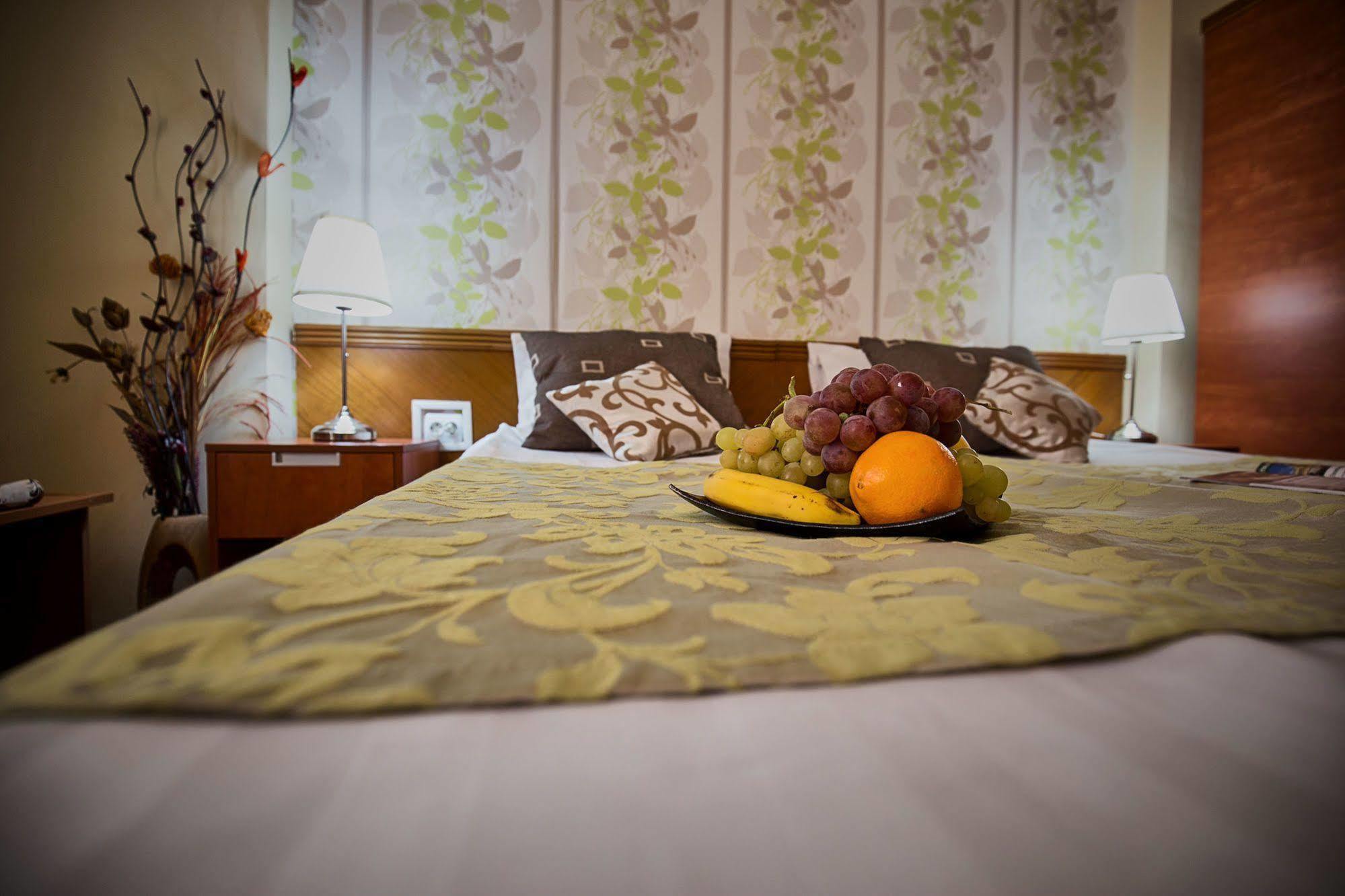 Rina Cerbul Hotel Sinaia